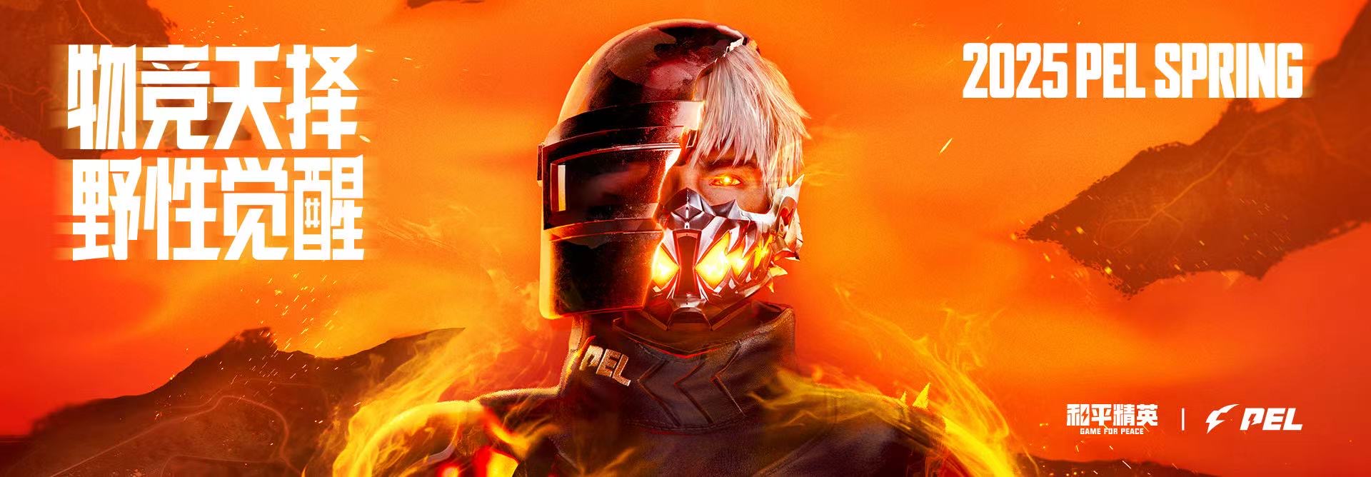 深入了解和平精英辅助现象：技术创新与社会影